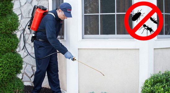 Manisa Karınca İlaçlama böcek ilaçlama ve haşere kontrolü — ilaclama-tr.com